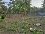 8Cent Purayidam Land Near Kongorpilly Karingamthuruth
