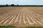Agriculture land