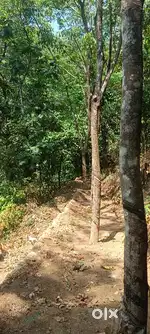 175 cent land for sale