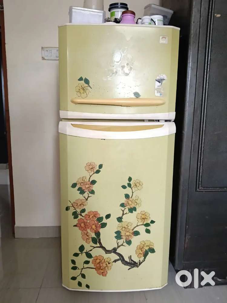 Fridge refrigerator working well