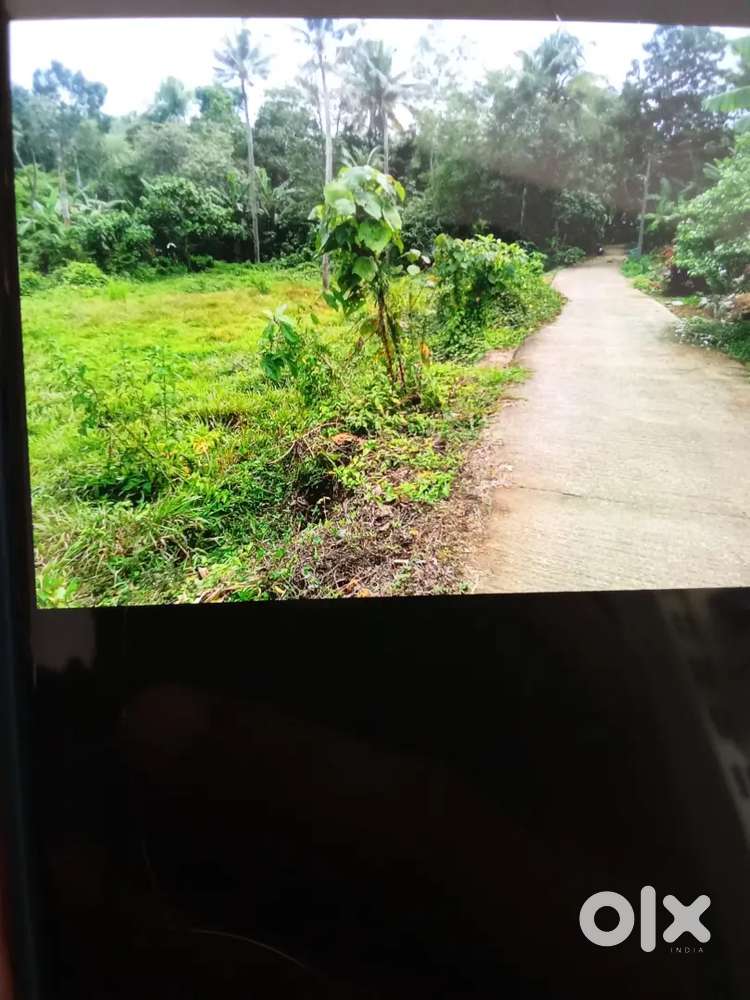 36 cent. Chathannoor chirakkara