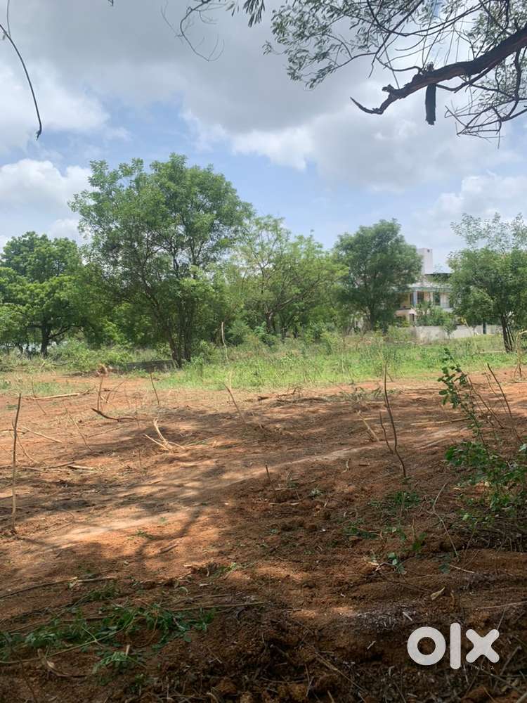 SNR projects West 300 yards ( Tumkunta Shameerpet )