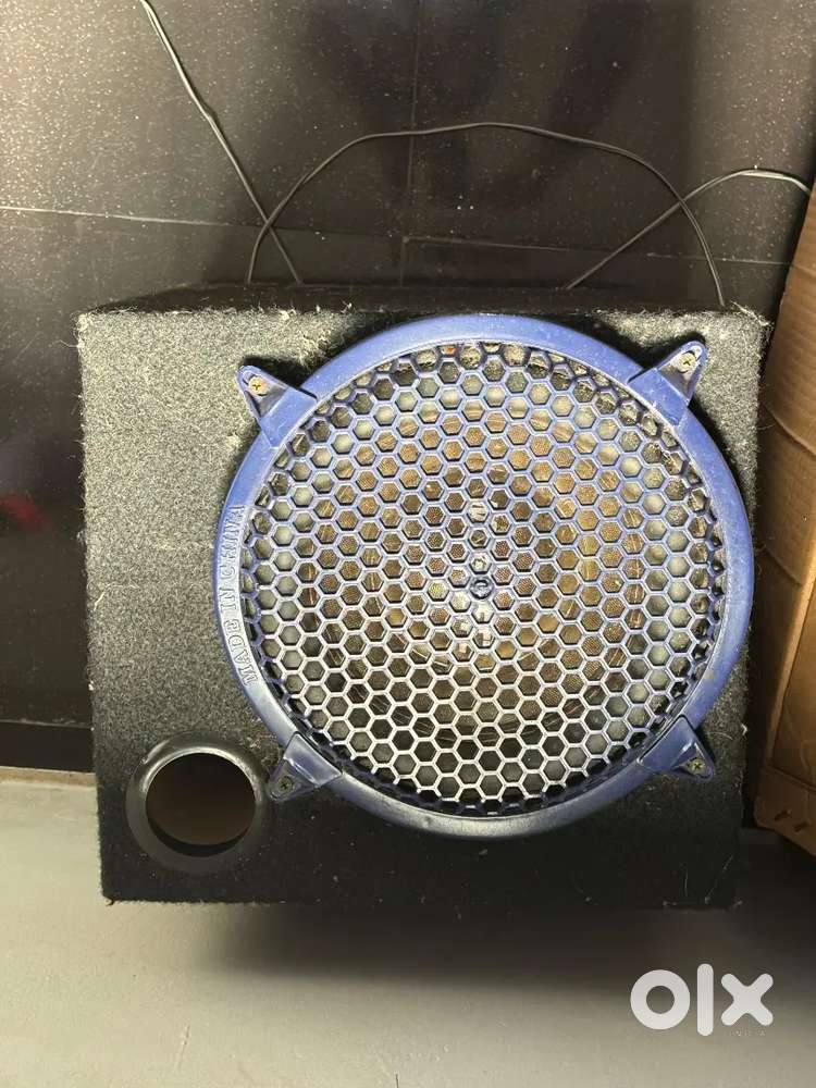 Car Subwoofer