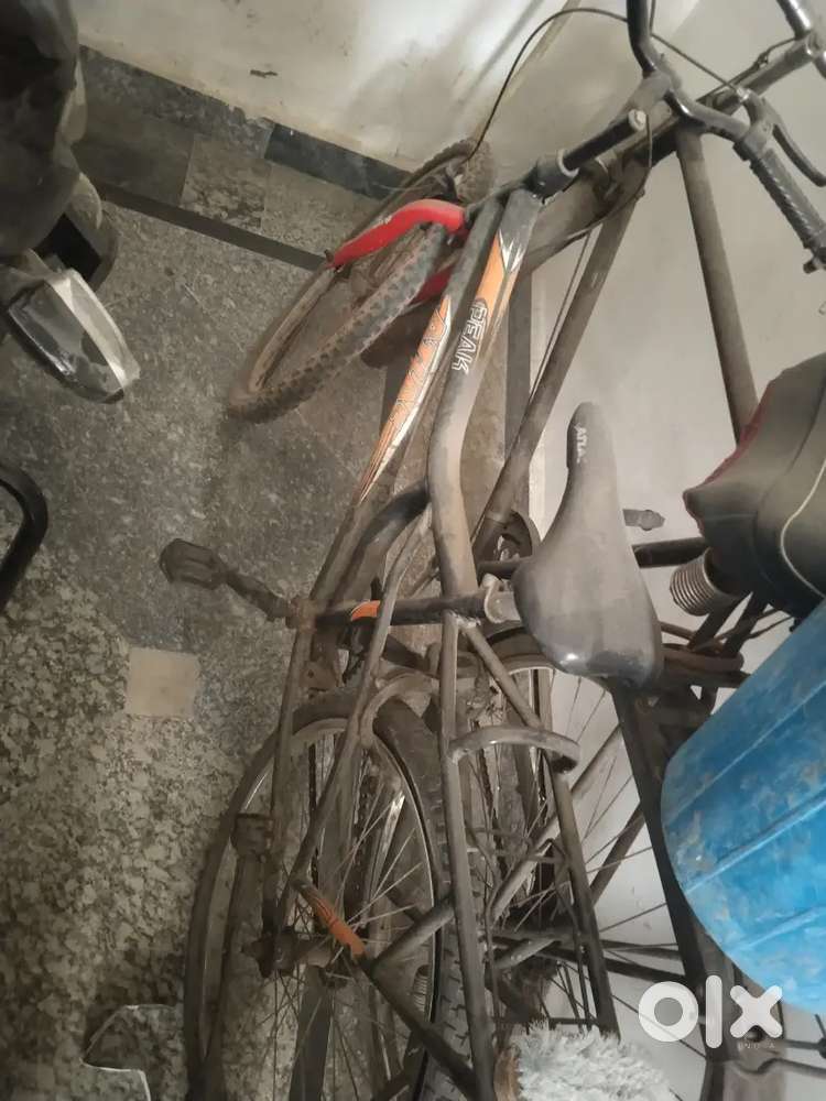 Cycle bikau hai