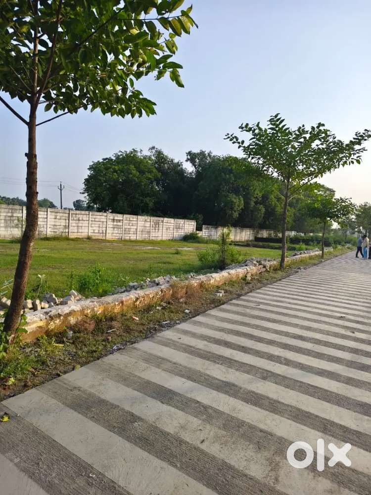 Limited plots pls don't waste time