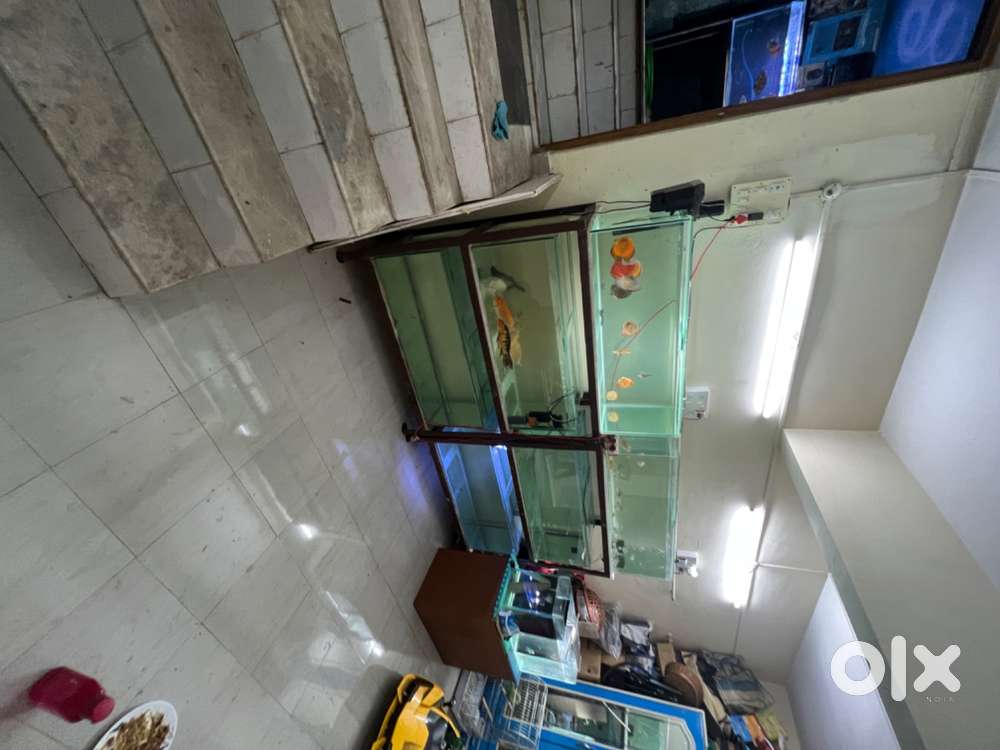 6 fish tank with rack for sale 4x18x18