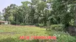 70 cent plot for sale near Aymanam