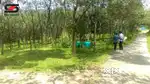 Rubber land