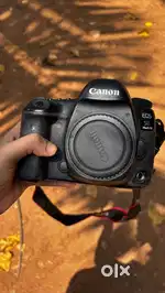 Canon 5D Mark iv camera + lenses (mint condition)