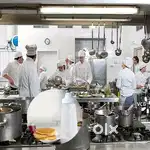 Cook welder shuttering carpenter construction helper waiter kitchen