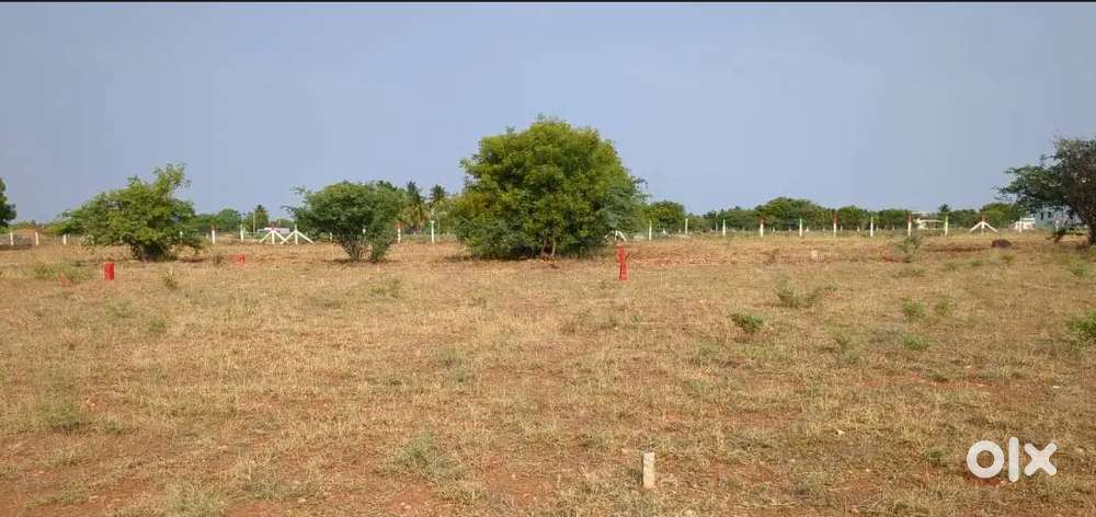 Land sale near gandhigramam