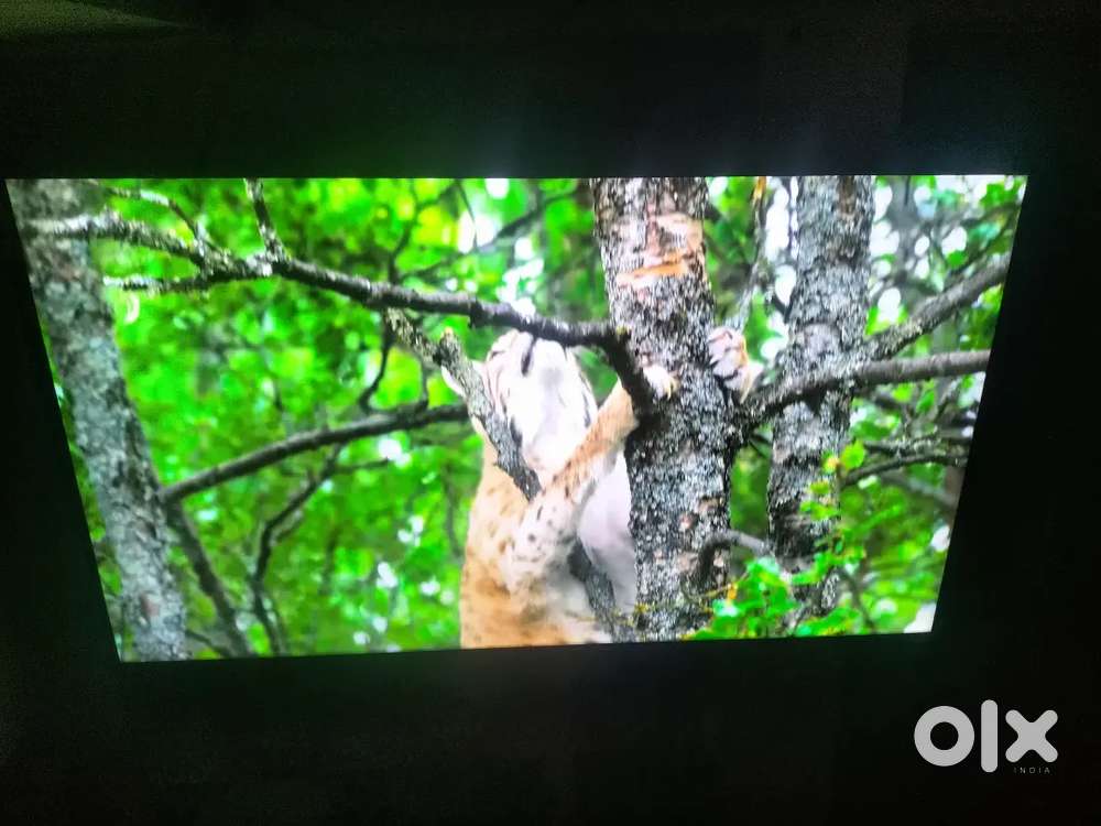 Samsung 60 inch 4K Tv