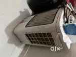 30ltr Cooler For Sale