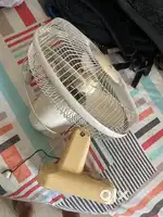 Indo Wall fan