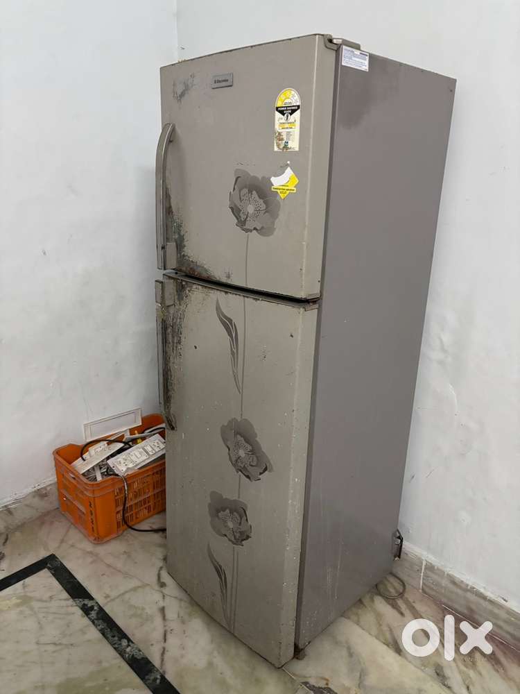 Electrolux Refrigerator Fridge