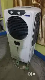 Summer Cooler