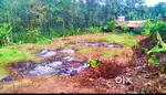 35 cent land for sale near kochi-dhanushkodi highway