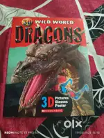 Dragons book