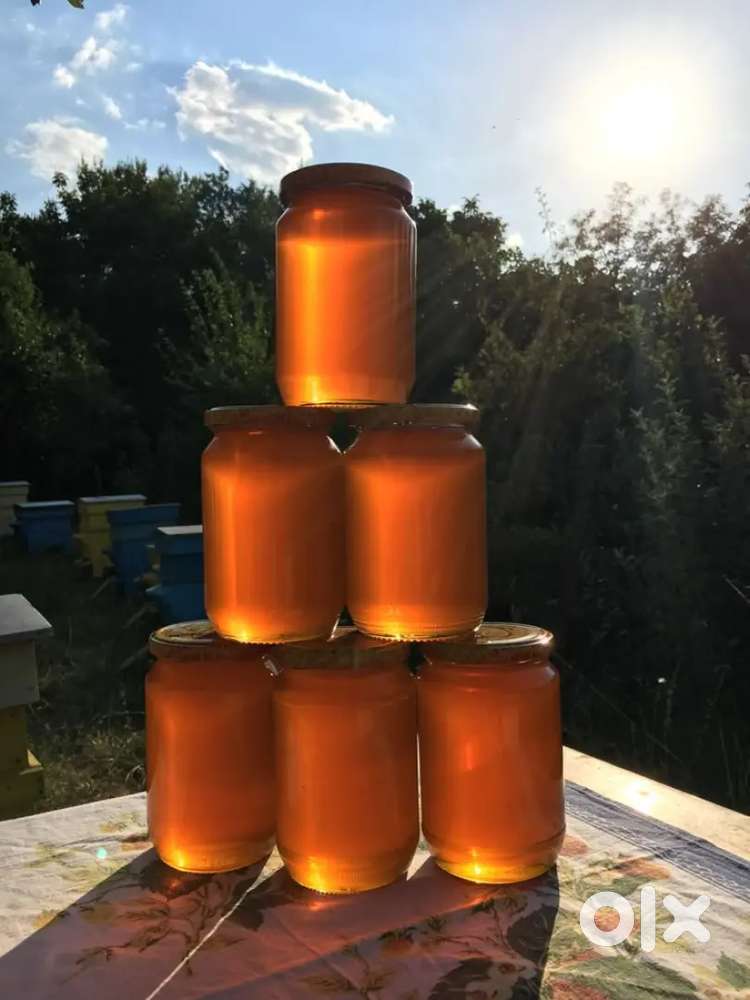 PURE WILD HONEY 100% NATURAL