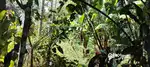 6 CENT PRIME RESIDENTIAL PLOT FOR SALE  PIPINMOODU NEAR SASTHAMANGALAM
