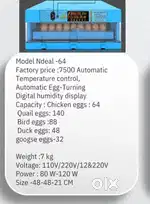 Egg Machine