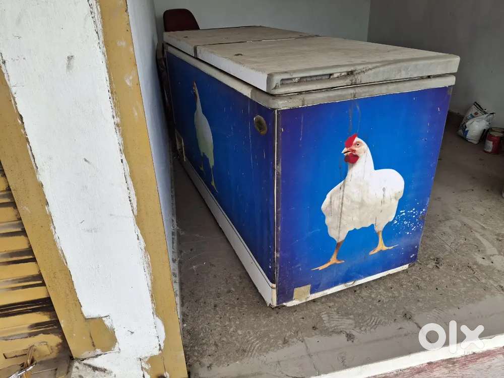 Freezer box for fish and chicken