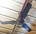 Ceiling Fans