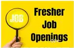 trainee software engineer