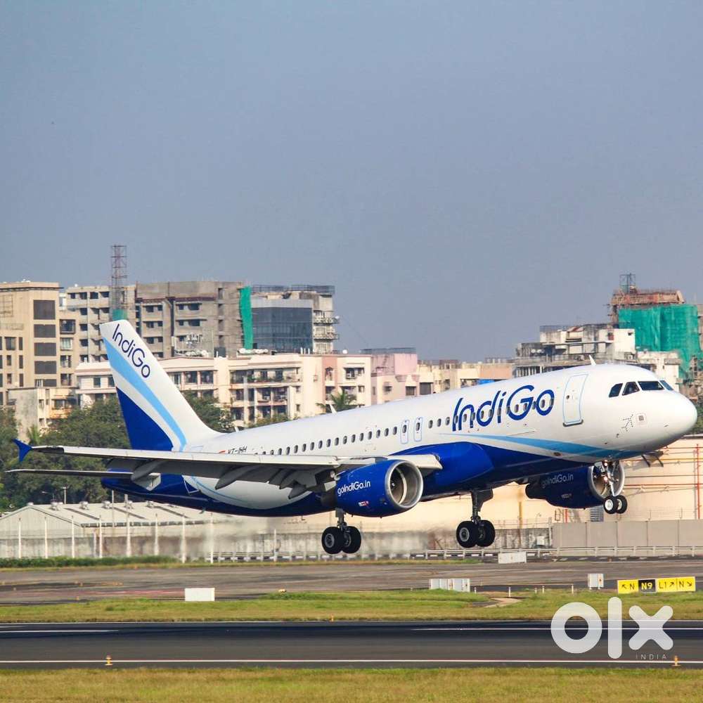 IndiGo Airlines Jobs Hiring AOCS, Apply Now for Ground Staff Roles
