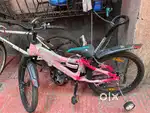Brand new cycle for sale