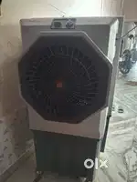 Newly Cooler