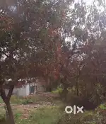 100 sq yards plot for sale