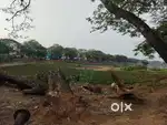 Sedharapet