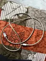 Apple orignal data cable or adaptor