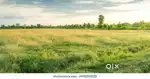 Empty Land with compound wall