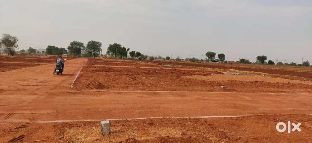 5 sents 1 sent 150000