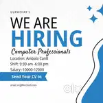 Computer Operator data entry