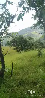 Konkan agriculture land