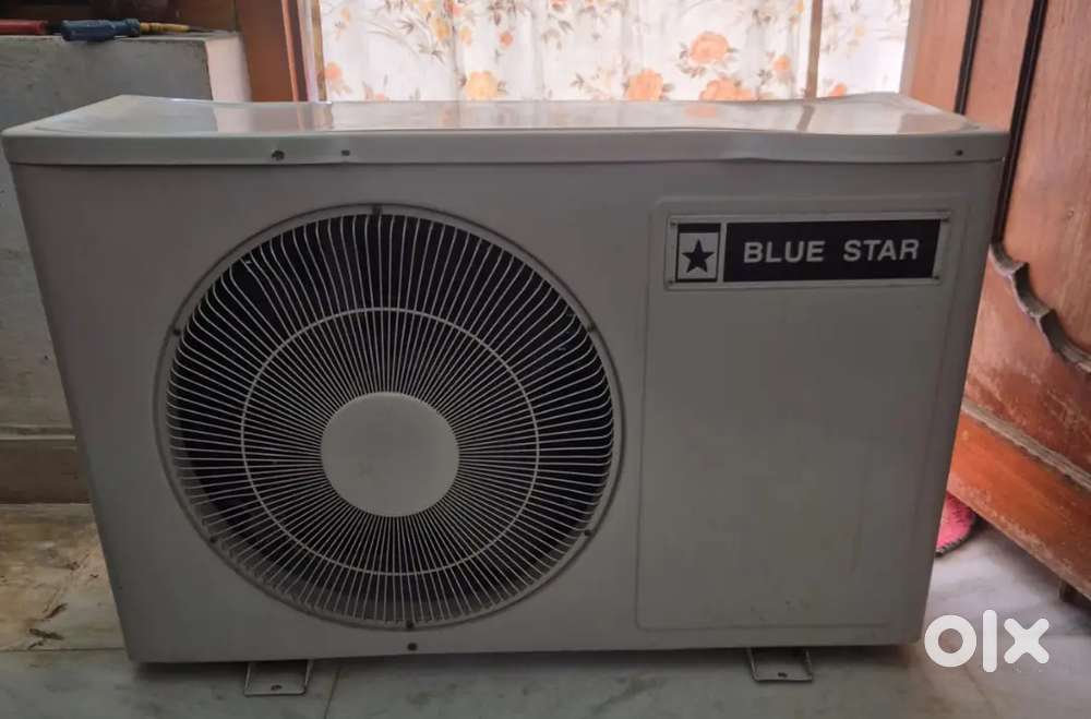 Blue star 2 tone out door