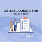 Office Boy