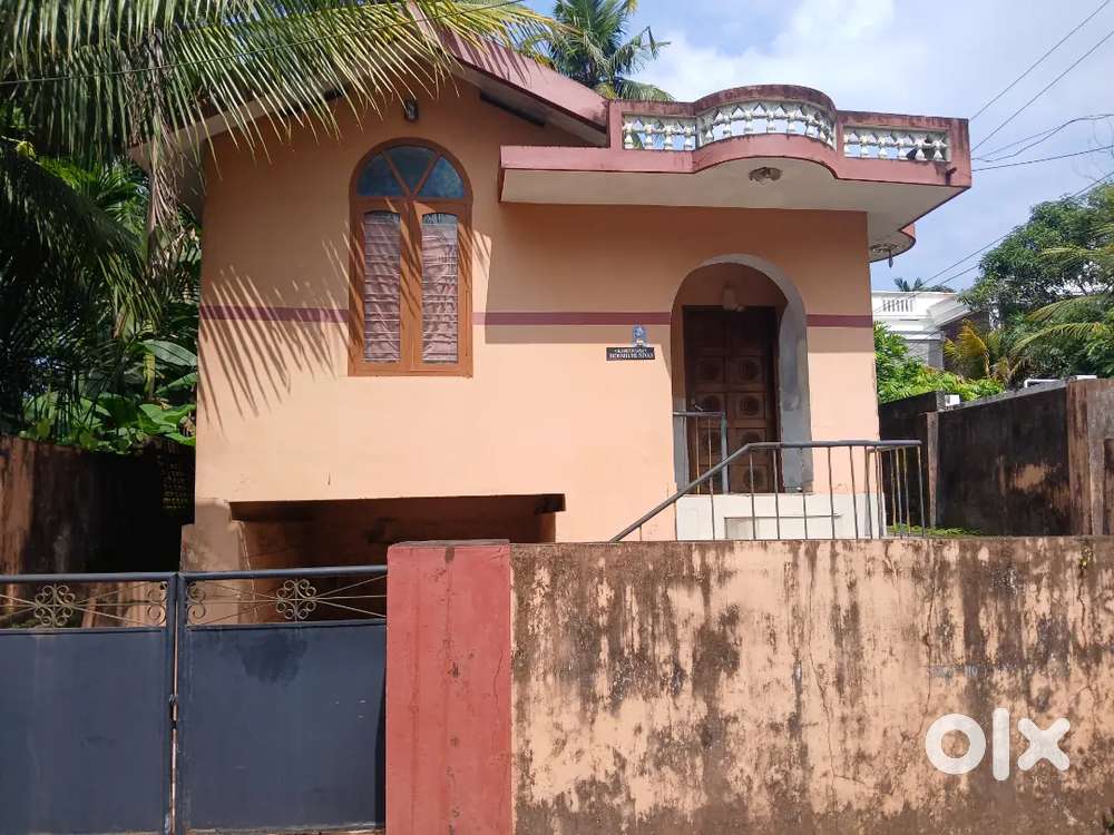 9.5 cent plot=4 cnt in old house 5.5 cnt free lant