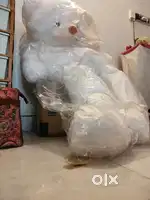 Teddy bear