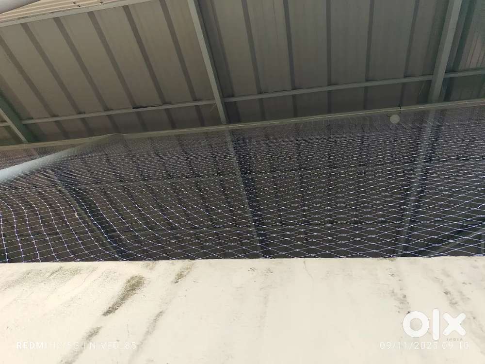 Anti bird safty net installation