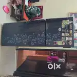 10 years old.
