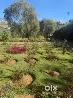 Land for Sale - Welbeck Road