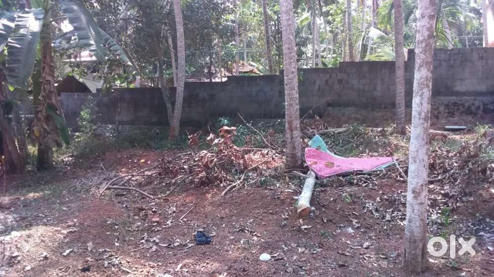 Land For Sale near Vizhinjam Port.