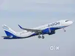 Job in indigo airlines 2025