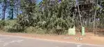 14.5 acres form with 900 coconut trees 800 archenut trees for sale