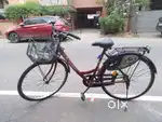 Ladysbird cycle