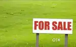 Plot selling at premium place of chanchal, Price negotiable